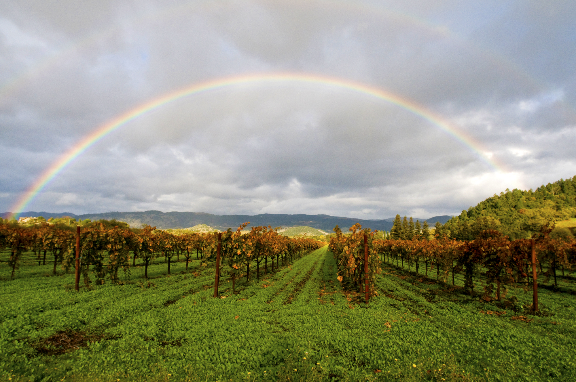 Rainbow Nature Photography Class with Art & Clarity in Napa