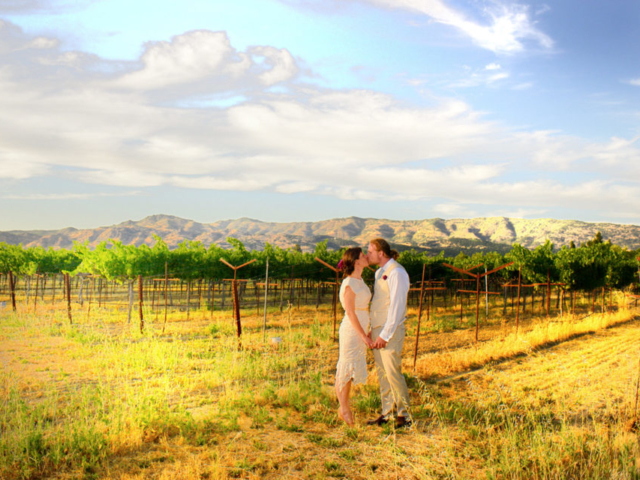 Elopement San Francisco, Bay Area, Napa Valley Wedding Photographer